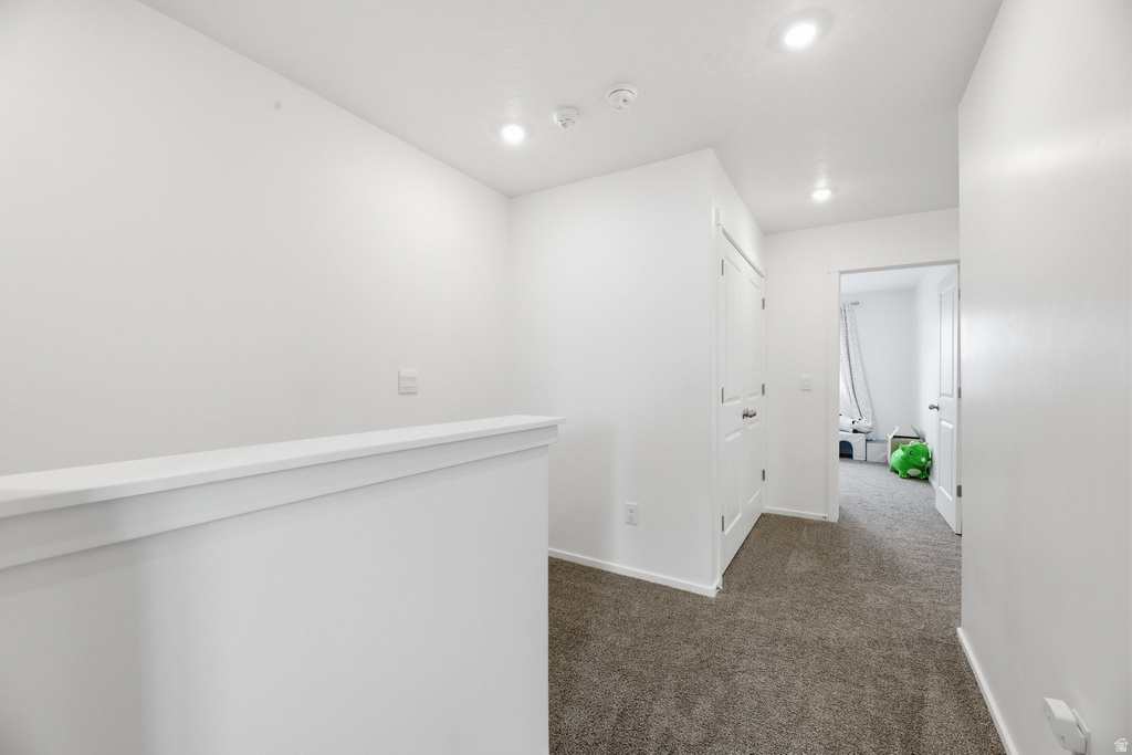 1796 N BLUE IRIS AVE Tooele, UT 84074