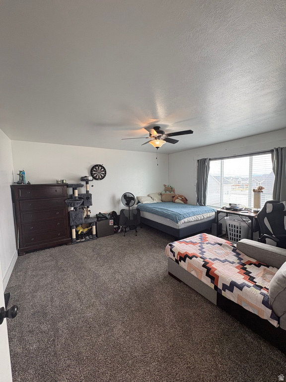 566 W SADDLEBACK Smithfield, UT 84335