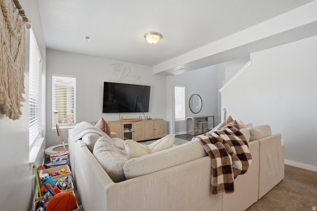 11882 S BLACK HILLS LN Herriman, UT 84096