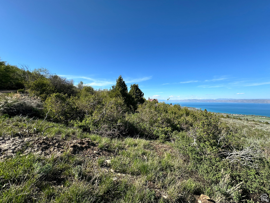 2520 S ASPEN LOOP Garden City, UT 84028