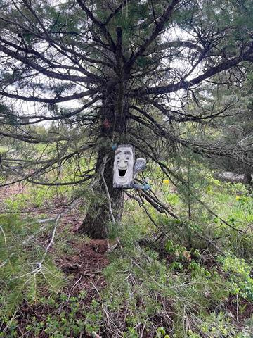 53 SQUAW CRK Lava Hot Springs, ID 83246