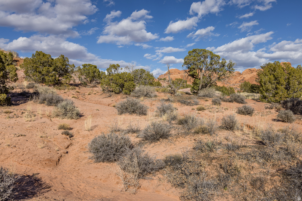 3239  CARROLL DR Moab, UT 84532