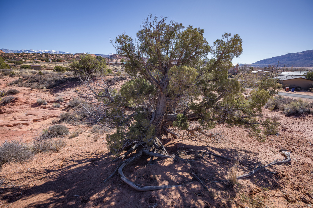 3239  CARROLL DR Moab, UT 84532