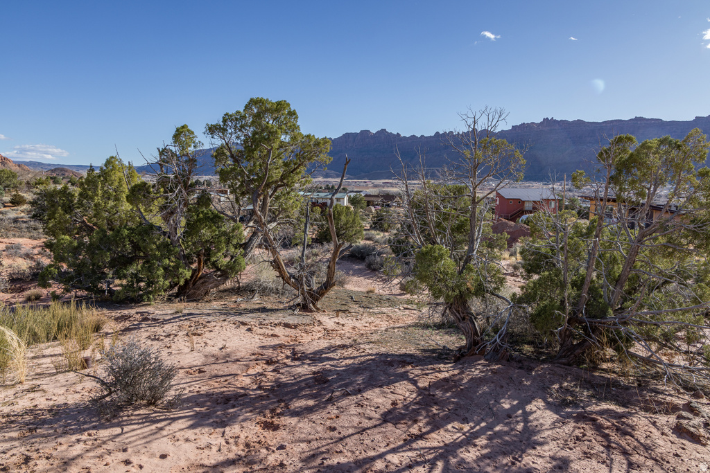 3239  CARROLL DR Moab, UT 84532