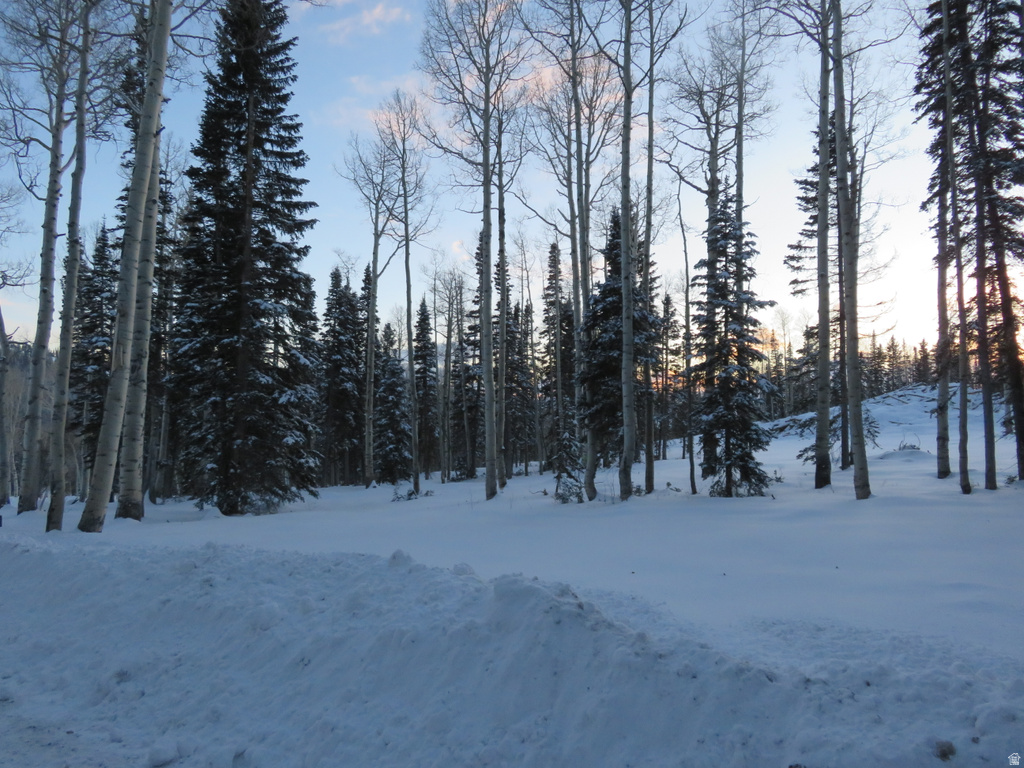 1  TUSHAR MOUNTAIN ESTS Beaver, UT 84713