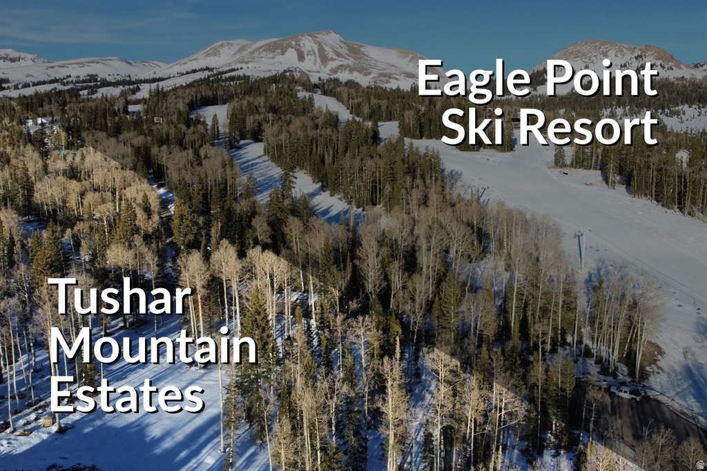 1  TUSHAR MOUNTAIN ESTS Beaver, UT 84713