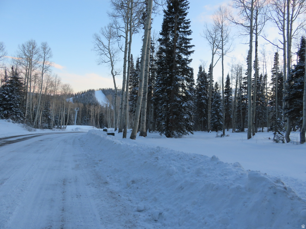 1  TUSHAR MOUNTAIN ESTS Beaver, UT 84713