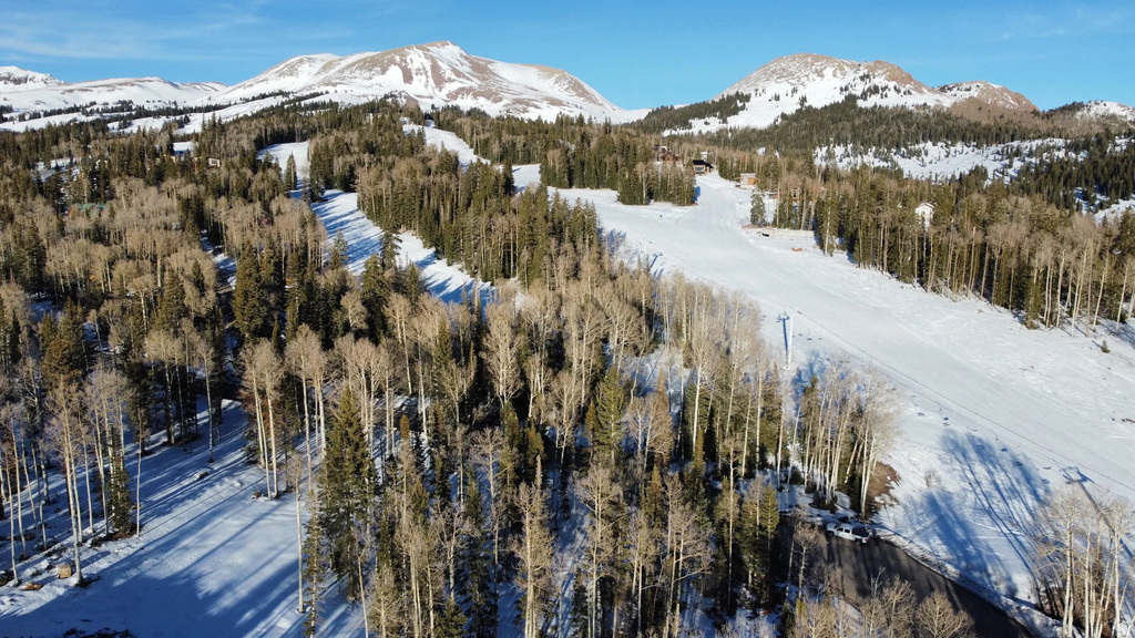 1  TUSHAR MOUNTAIN ESTS Beaver, UT 84713