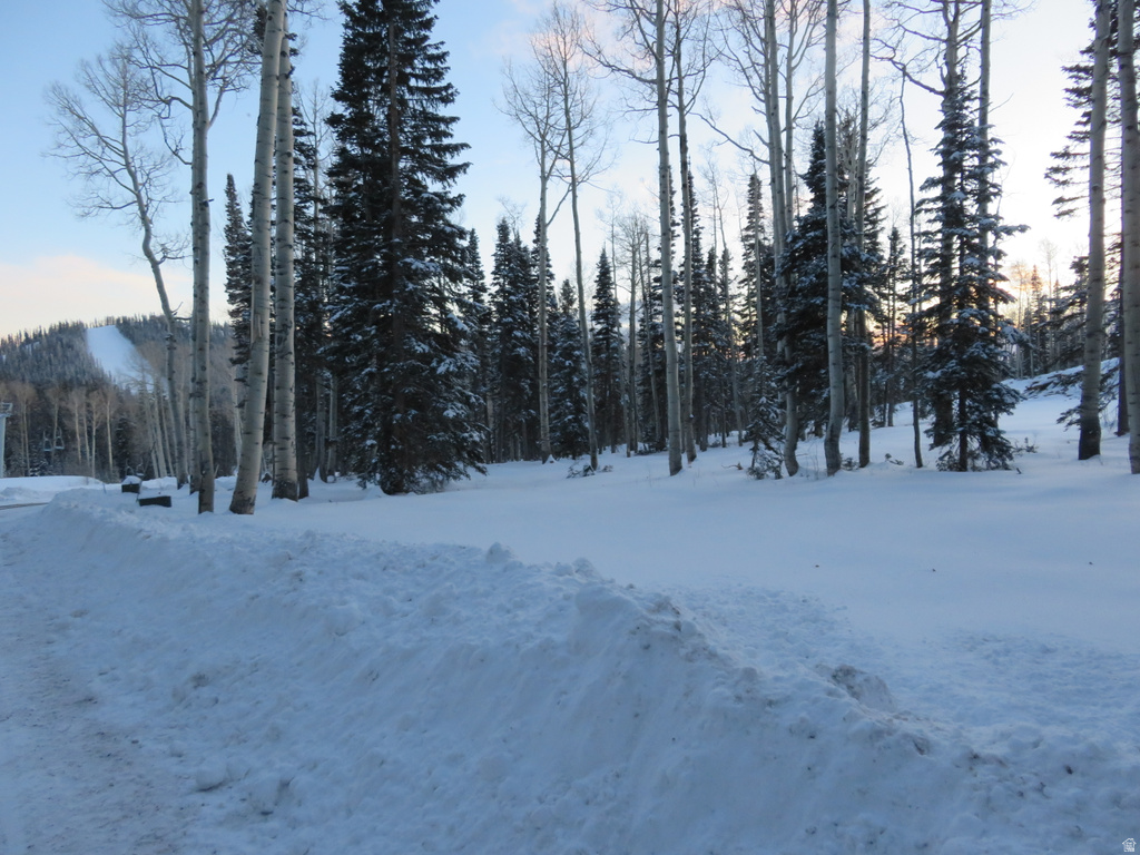 1  TUSHAR MOUNTAIN ESTS Beaver, UT 84713