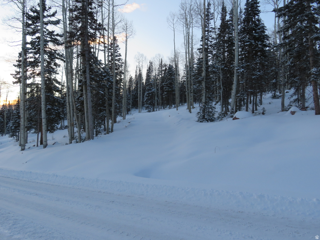 1  TUSHAR MOUNTAIN ESTS Beaver, UT 84713