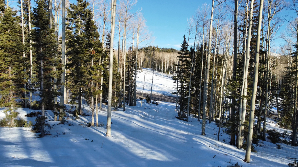 1  TUSHAR MOUNTAIN ESTS Beaver, UT 84713