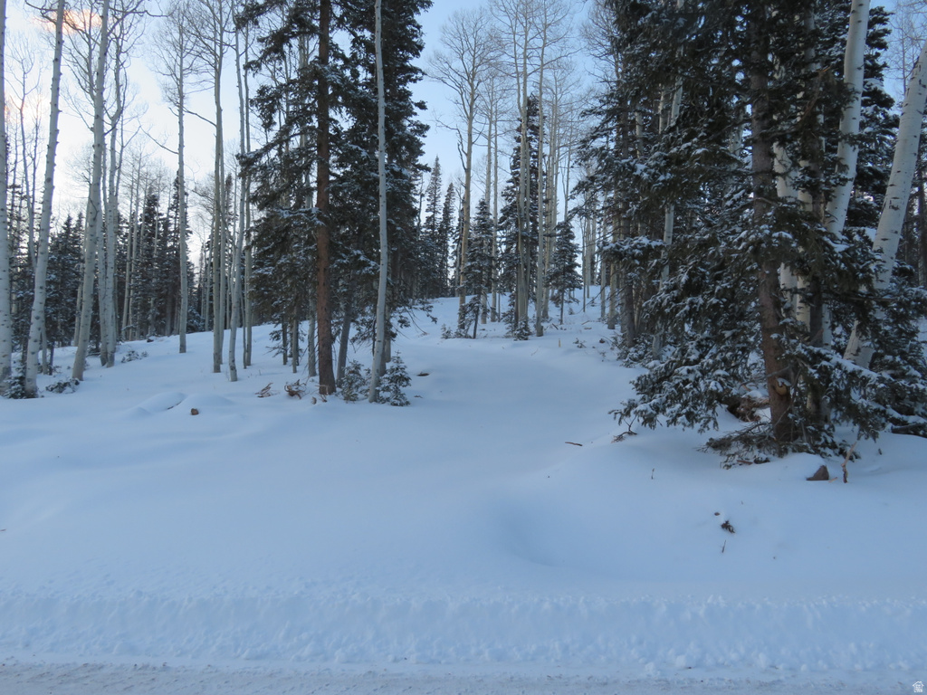 1  TUSHAR MOUNTAIN ESTS Beaver, UT 84713