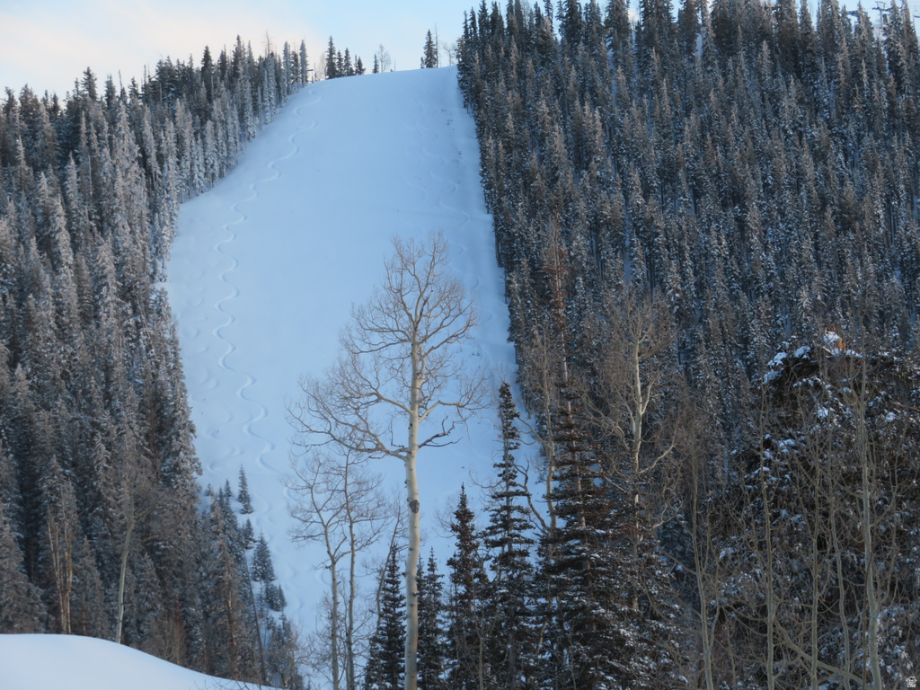 2  TUSHAR MOUNTAIN ESTS Beaver, UT 84713