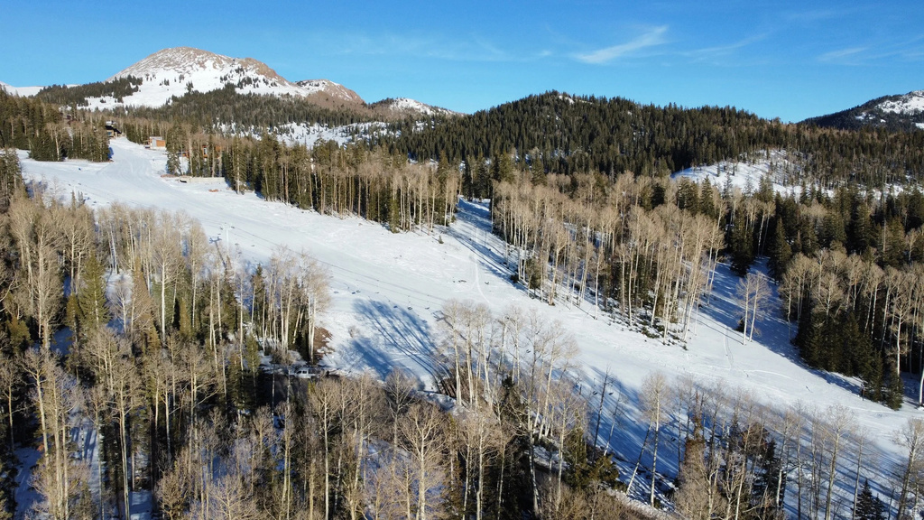 2  TUSHAR MOUNTAIN ESTS Beaver, UT 84713