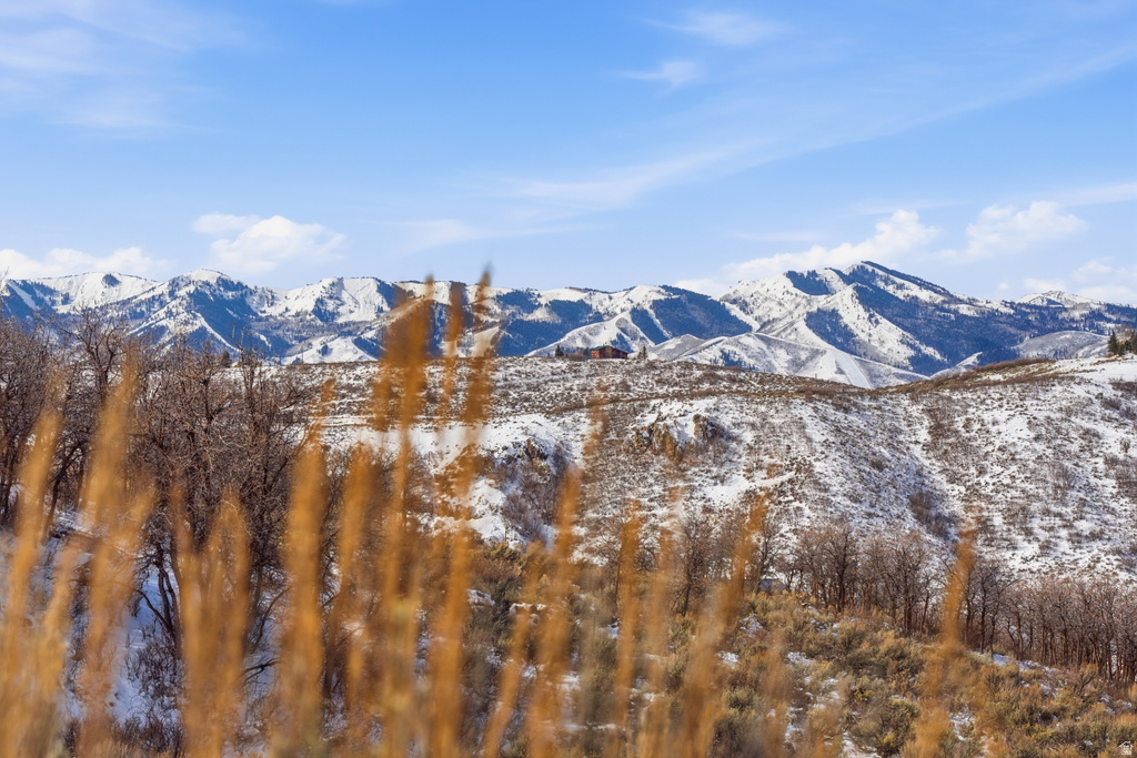 2014  CANYON GATE RD Park City, UT 84098