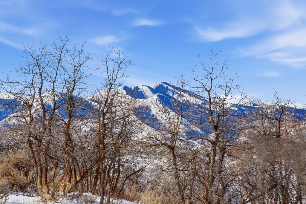 2014  CANYON GATE RD Park City, UT 84098