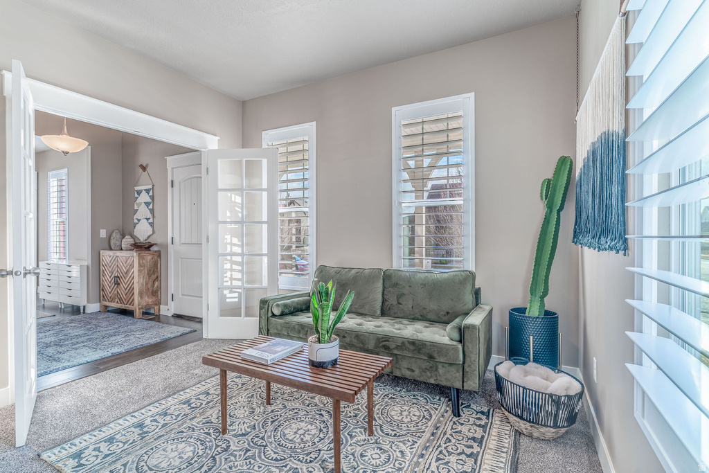 356 N APPLE LEAF AVE Kaysville, UT 84037