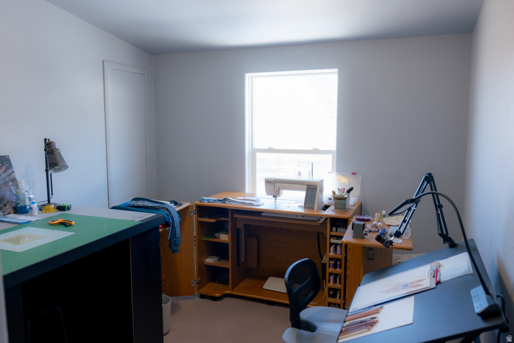 14330 N 12000 E Mt Pleasant, UT 84647