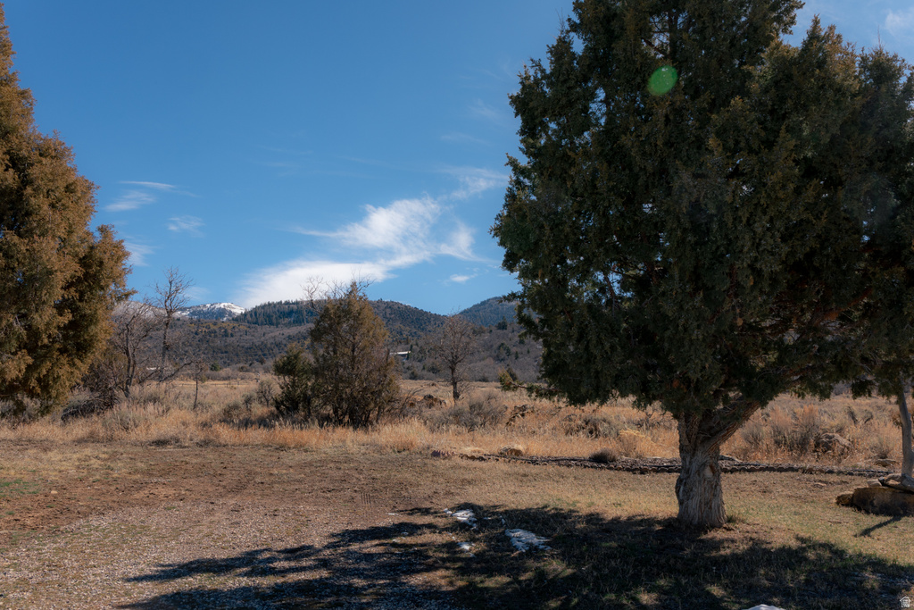 14330 N 12000 E Mt Pleasant, UT 84647