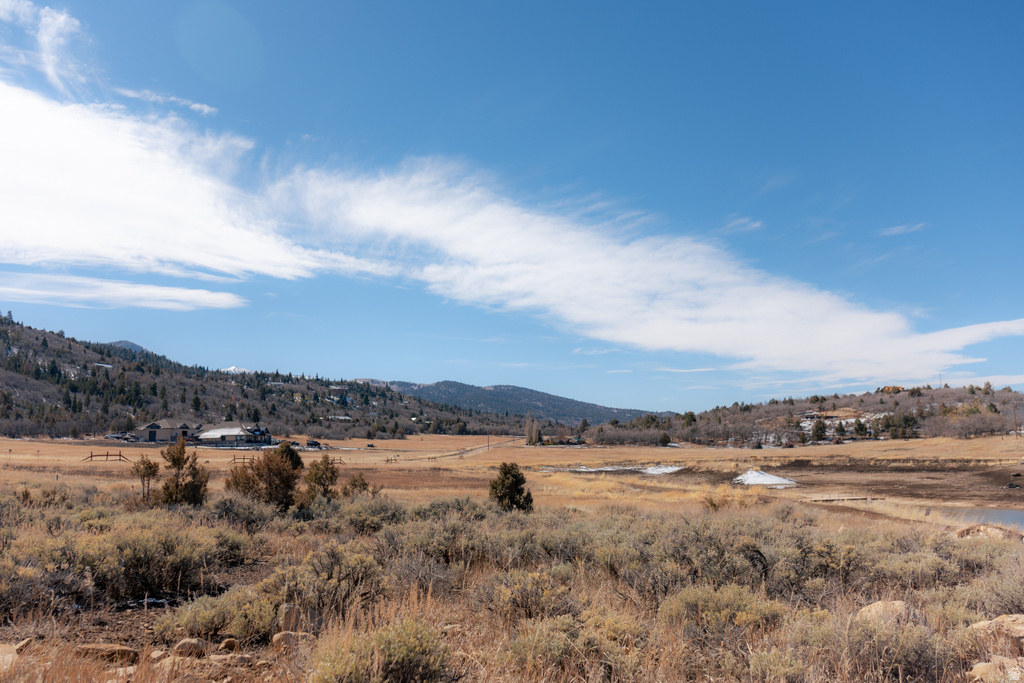 14330 N 12000 E Mt Pleasant, UT 84647