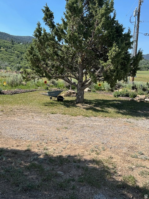 14330 N 12000 E Mt Pleasant, UT 84647