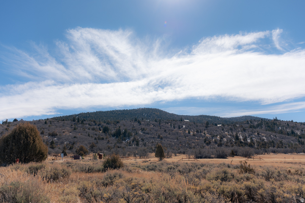 14330 N 12000 E Mt Pleasant, UT 84647