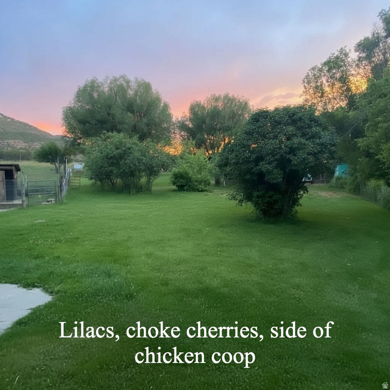 6603 N 6500 W Vernal, UT 84078