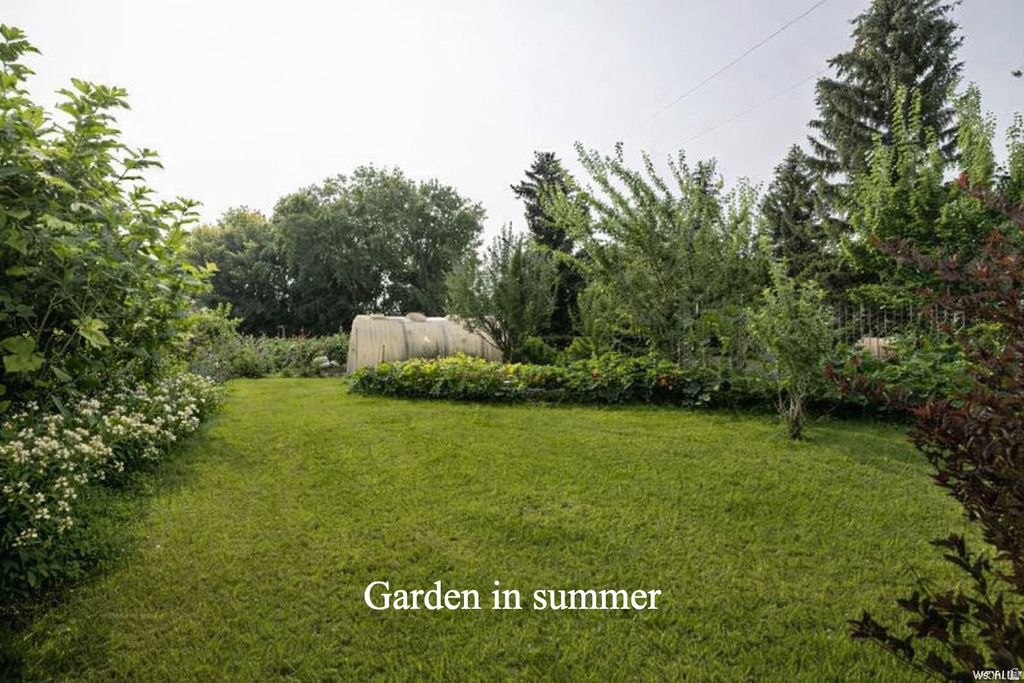 6603 N 6500 W Vernal, UT 84078