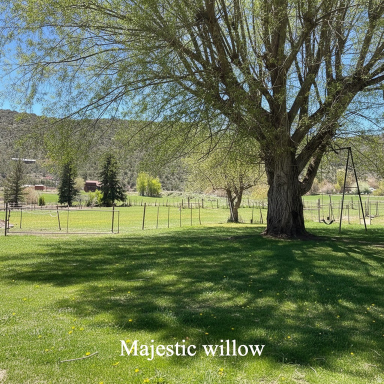 6603 N 6500 W Vernal, UT 84078