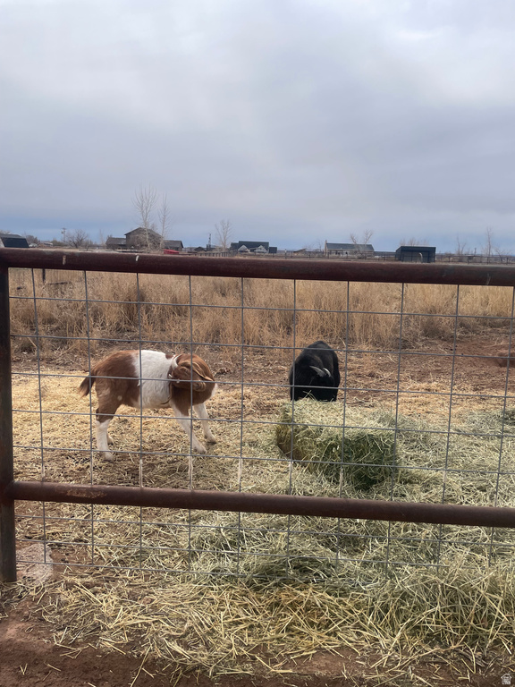 3911 W 1150 N Roosevelt, UT 84066