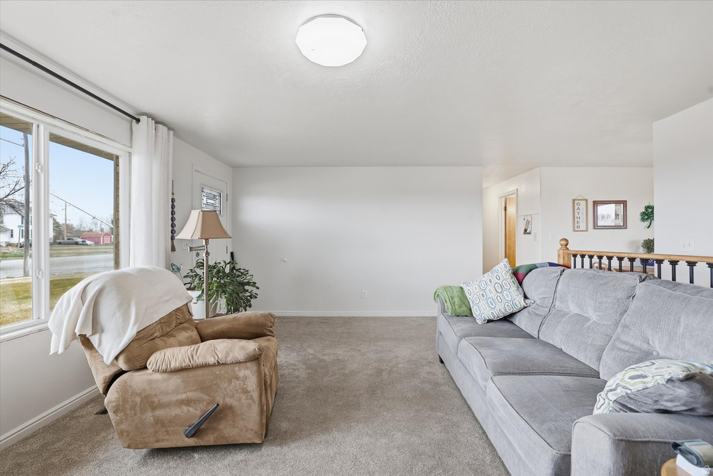 1113 S MAIN ST Garland, UT 84312