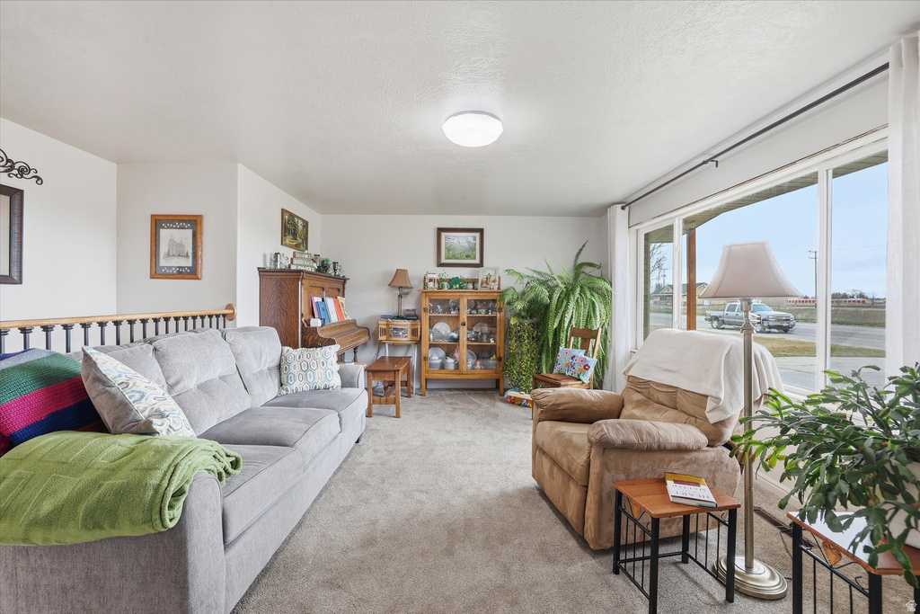 1113 S MAIN ST Garland, UT 84312