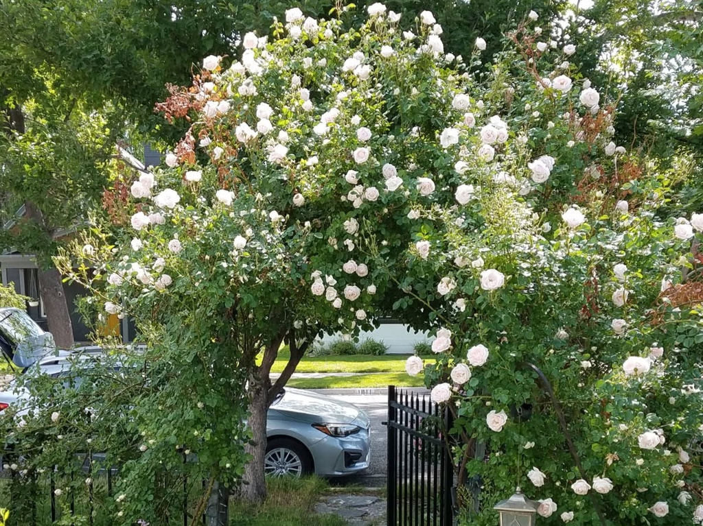 1812 S PARK ST Salt Lake City, UT 84105