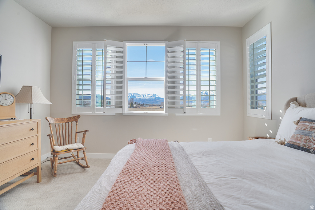 958 S TOWER MILL LN Heber City, UT 84032