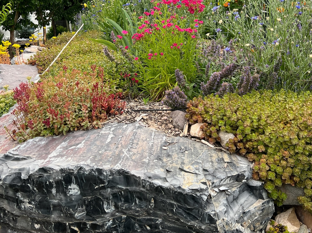 1058 S 175 E Nephi, UT 84648