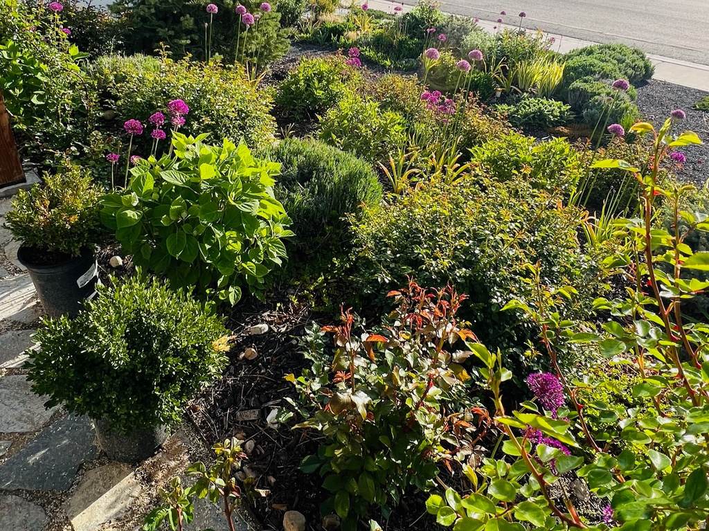 1058 S 175 E Nephi, UT 84648