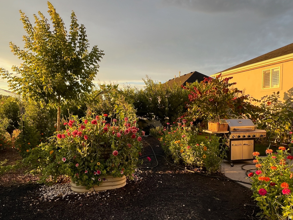 1058 S 175 E Nephi, UT 84648