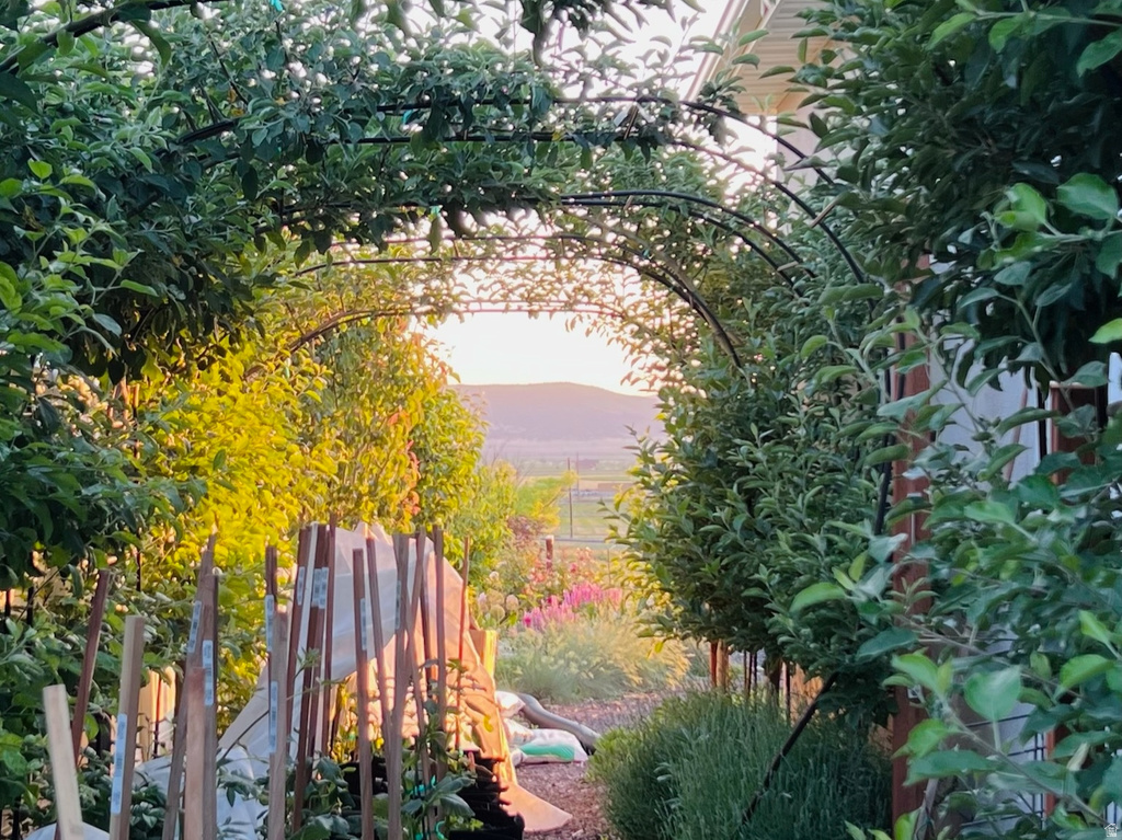 1058 S 175 E Nephi, UT 84648