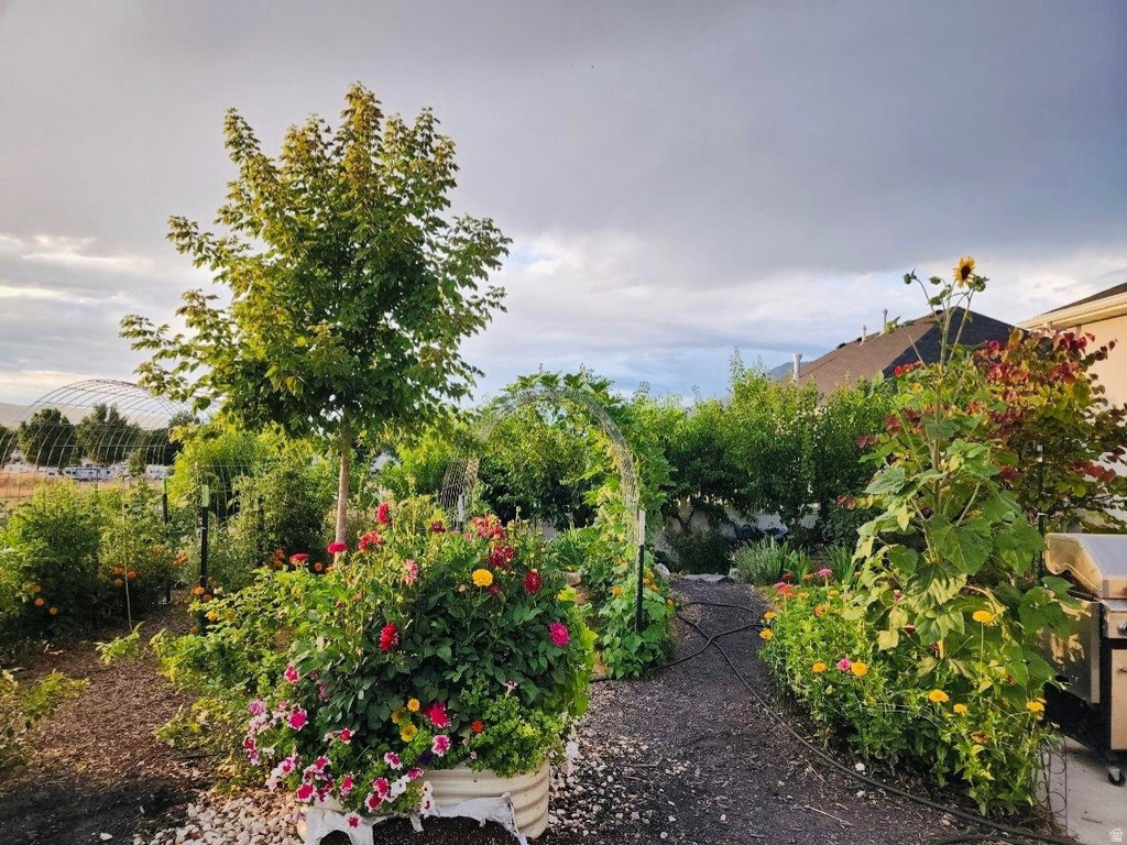 1058 S 175 E Nephi, UT 84648