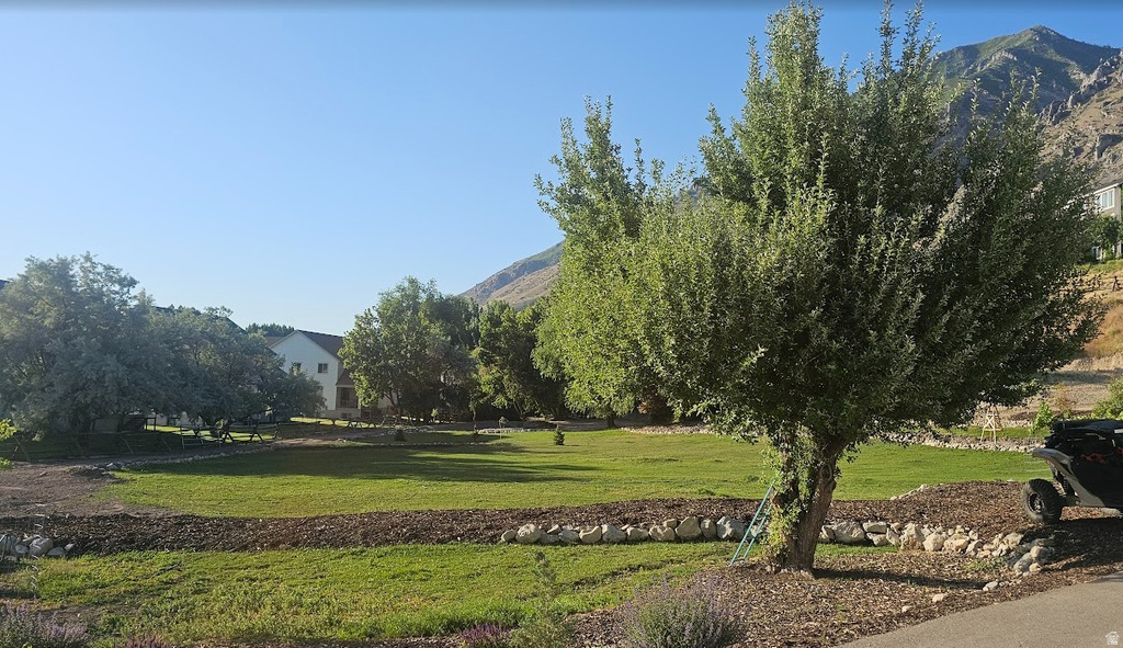 522 N 650 E Springville, UT 84663