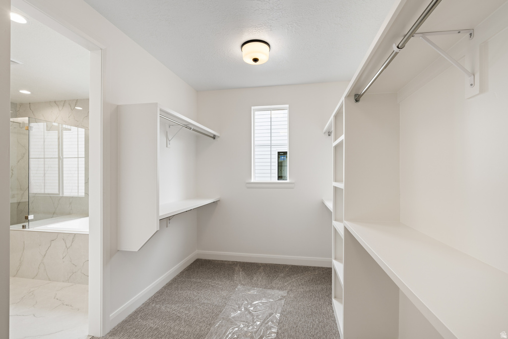 1872 S 100 E #6 Payson, UT 84651