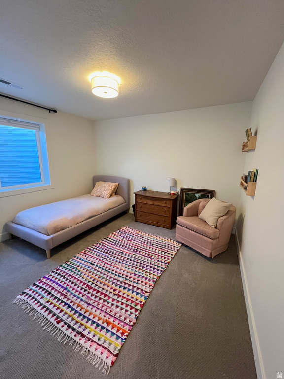 118 N SHERWOOD DR #13 Providence, UT 84332