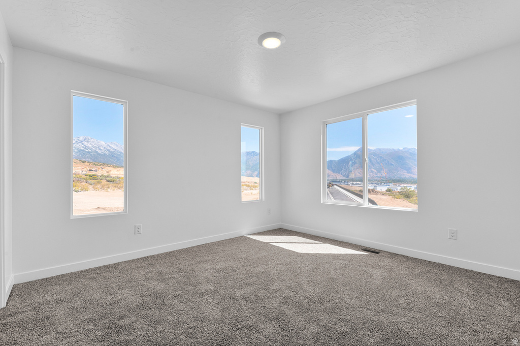 210 E GLENCOE DR #1060 Lehi, UT 84048