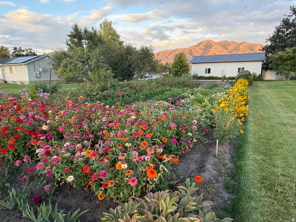 7419 S 400 W Paradise, UT 84328