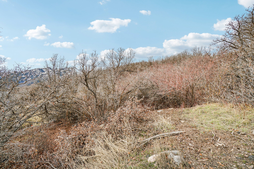 5849  ASPEN CIR Morgan, UT 84050