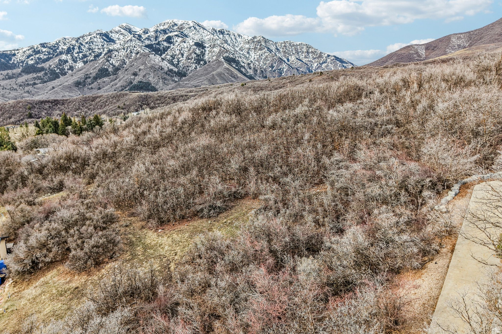 5849  ASPEN CIR Morgan, UT 84050