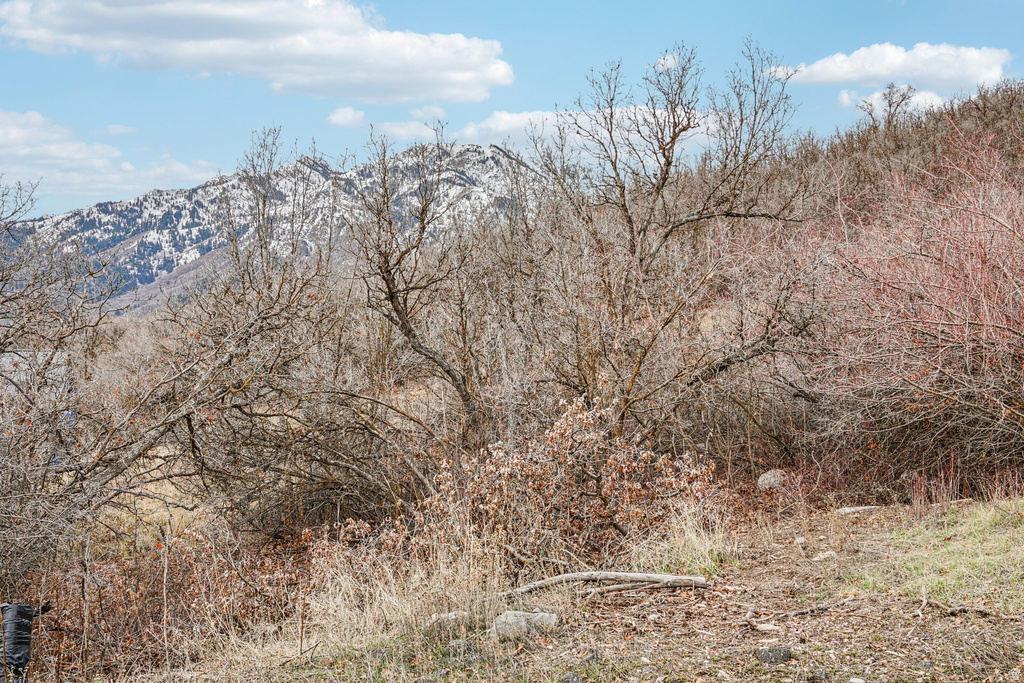 5849  ASPEN CIR Morgan, UT 84050