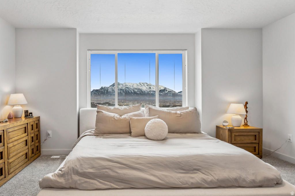 2014 N RED YEARLING DR #532 Saratoga Springs, UT 84045