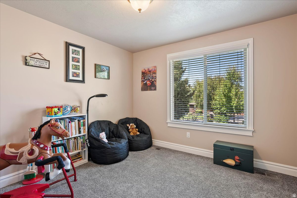 4388 N 250 W Pleasant View, UT 84414