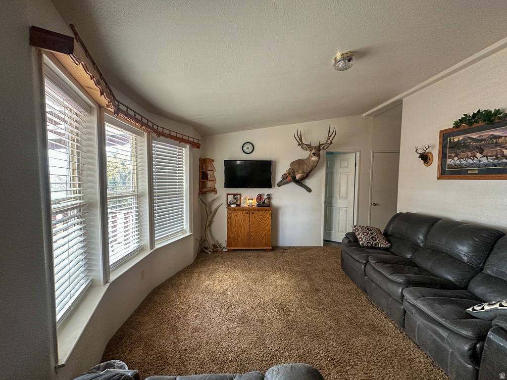 6020 N 4000 W Delta, UT 84624